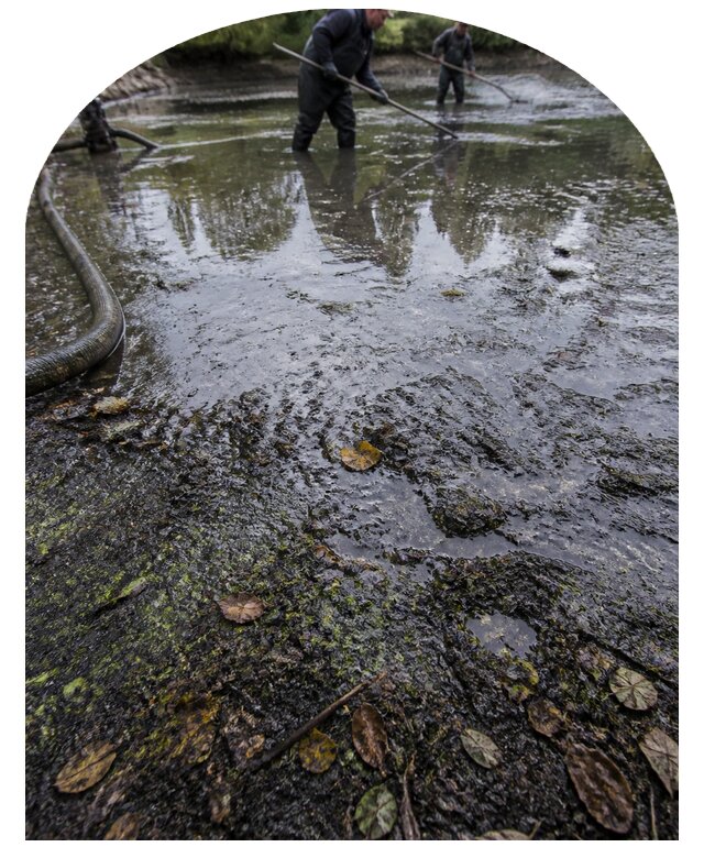 Очистка пруда в Людинове от ила мусора и водорослей с вывозом